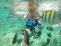 Snorkeling In Cozumel
